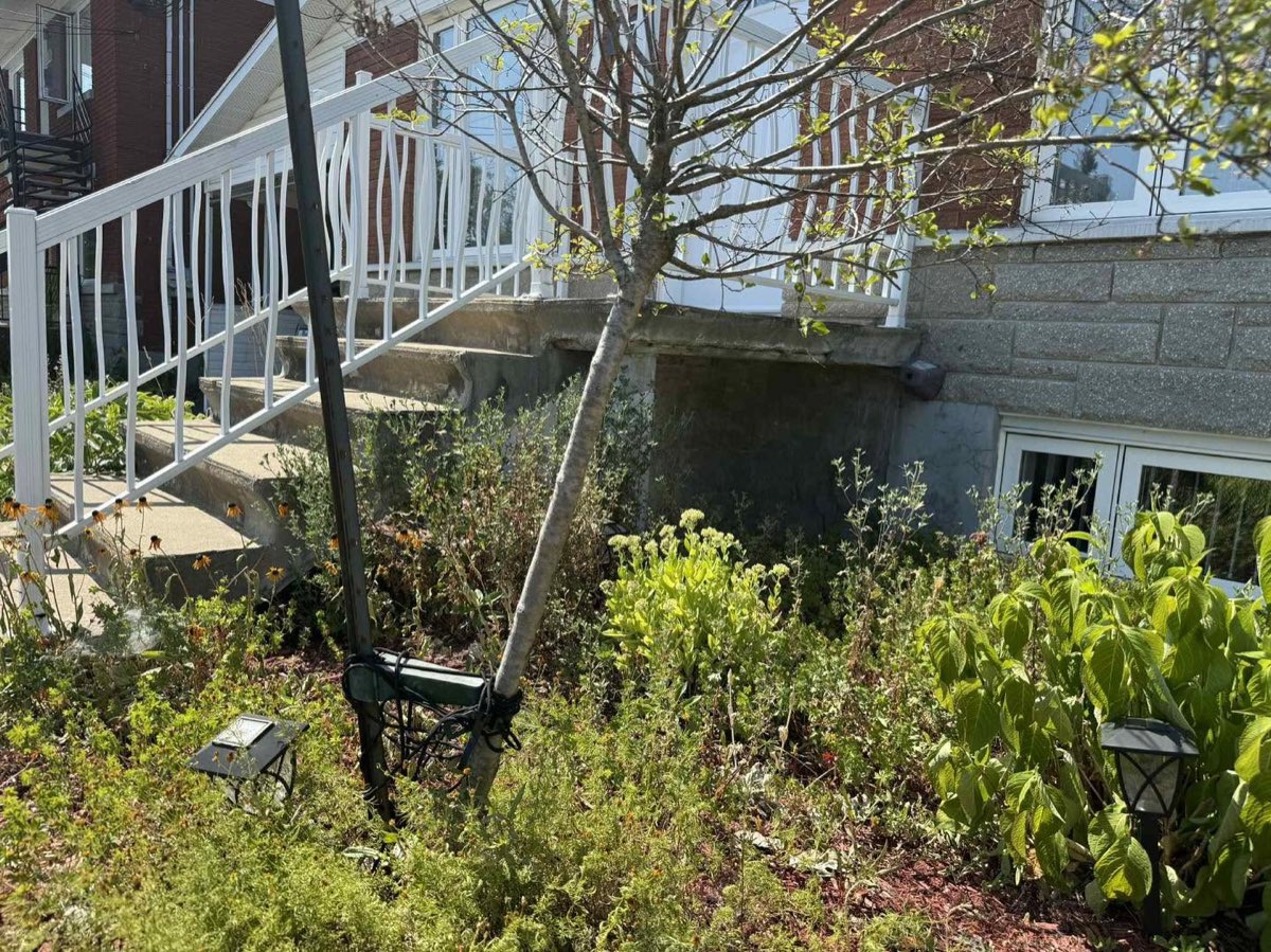Avant les travaux, escalier résidentiel et muret de béton usés, végétation qui envahit la façade